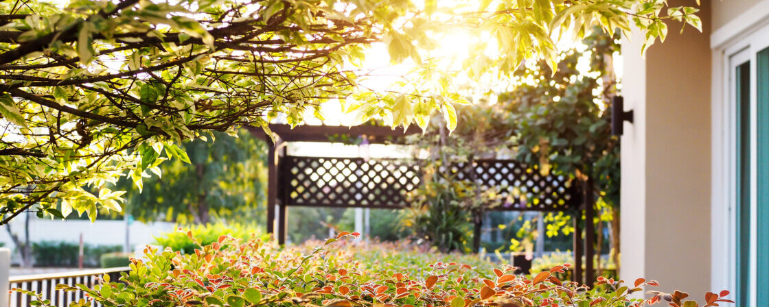 zahradni pergola