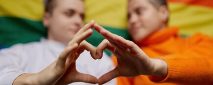 svazek gayů, manželství pro všechny