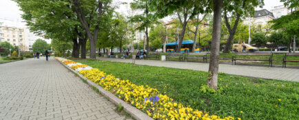 park, veřejná zeleň, zeleň v obci